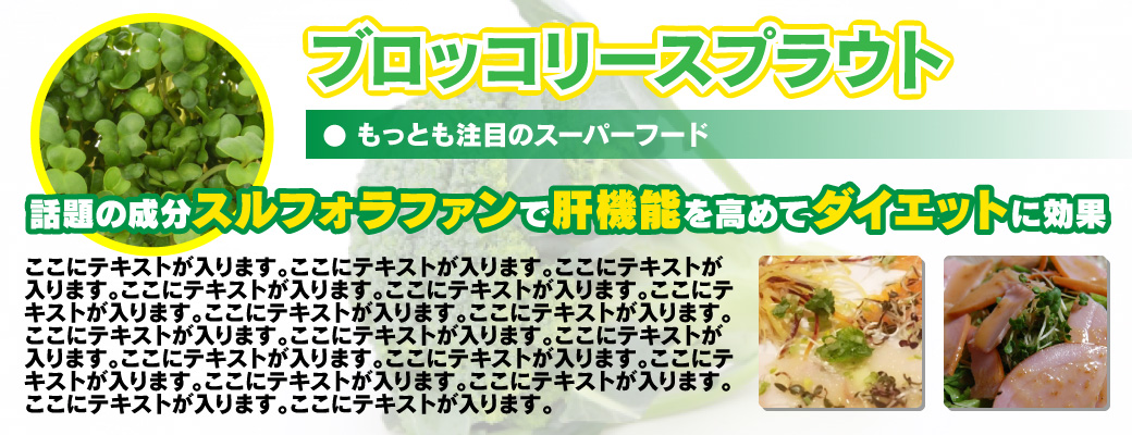 ブロッコリースプラウトの案内